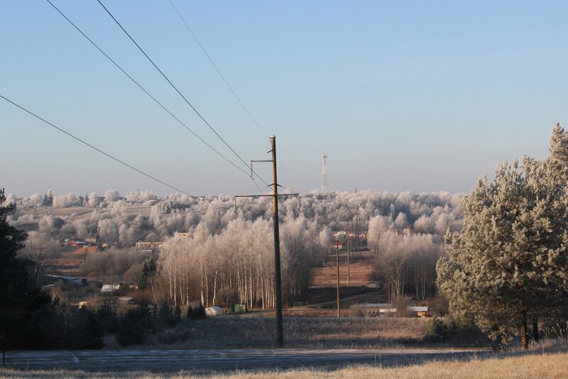 Frost-covered Trees on Hill — Blue, Calm