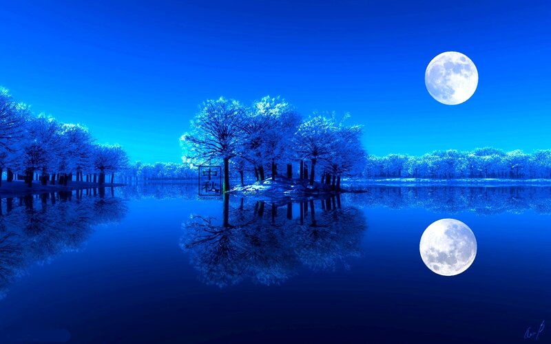 Frost-covered Trees on Island — Blue, Serene, Night