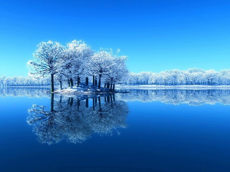 Frost-covered Trees on Island — Blue, Serene