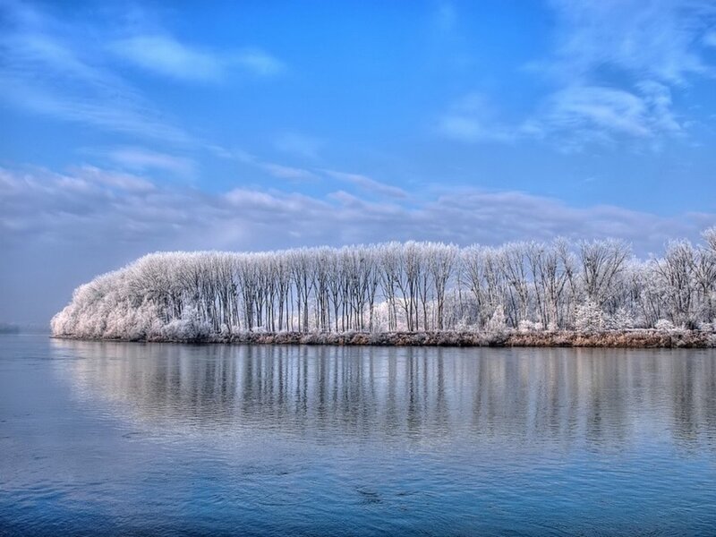 Frost-covered Trees on Island