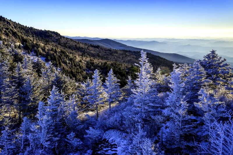 Frost-covered Trees on Mountain