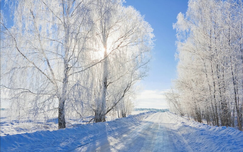 Frost-covered Trees on Road — Blue, Serene, Winter, Photograph, Snow, Sun
