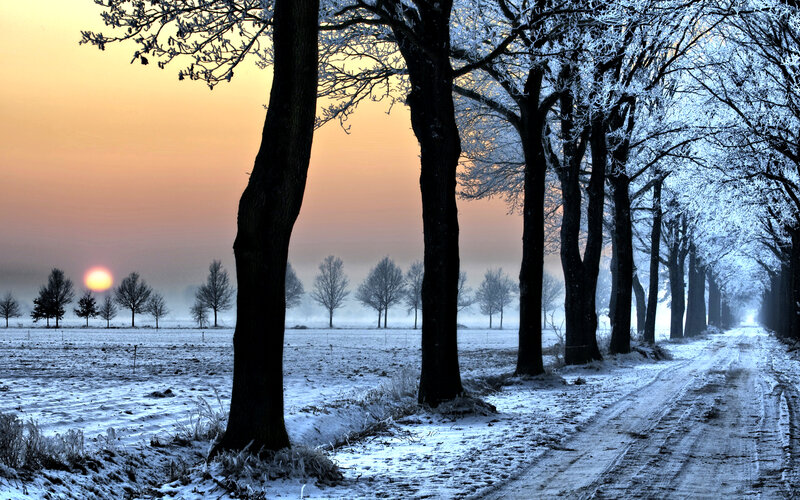 Frost-covered Trees on Road — Blue, Serene, Winter