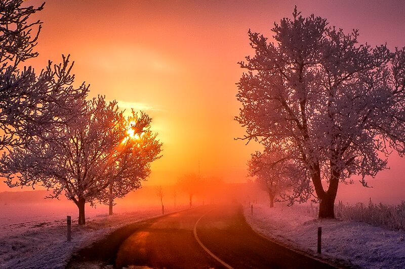 Frost-covered Trees on Road — Orange