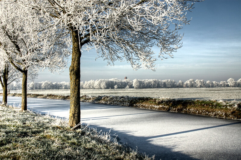 Frost-covered Trees on Road — White, Serene, Winter