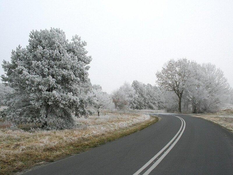 Frost-covered Trees on Road — White