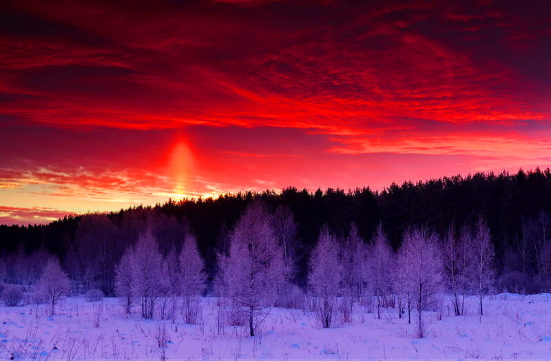 Frost-covered Trees — Red, Dramatic