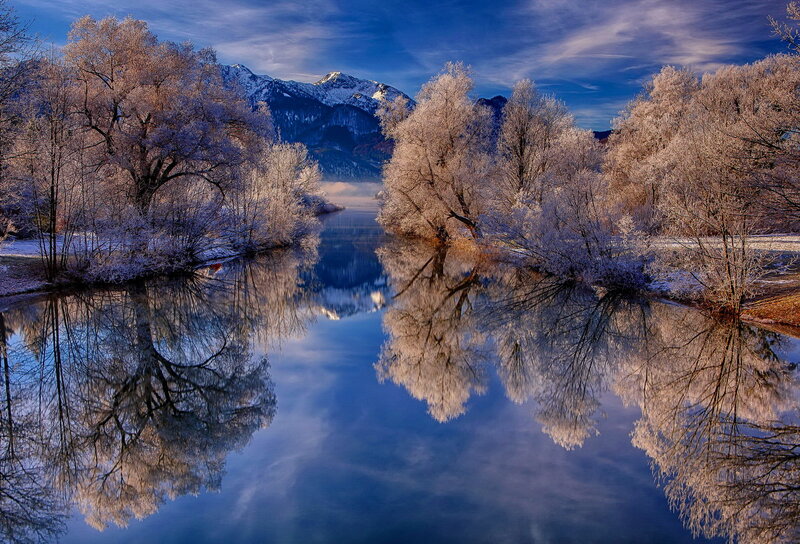 Frost-covered Trees River