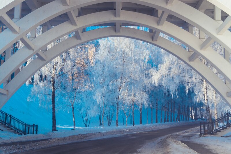Frost-covered Trees under Bridge