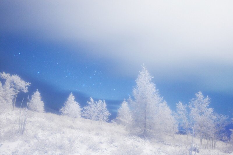 Frost-covered Trees — White, Serene, Night