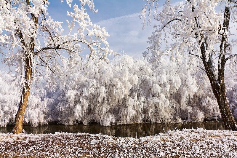 Frost-covered Trees — White, Serene, Winter, Photograph, River, Sky, Snow
