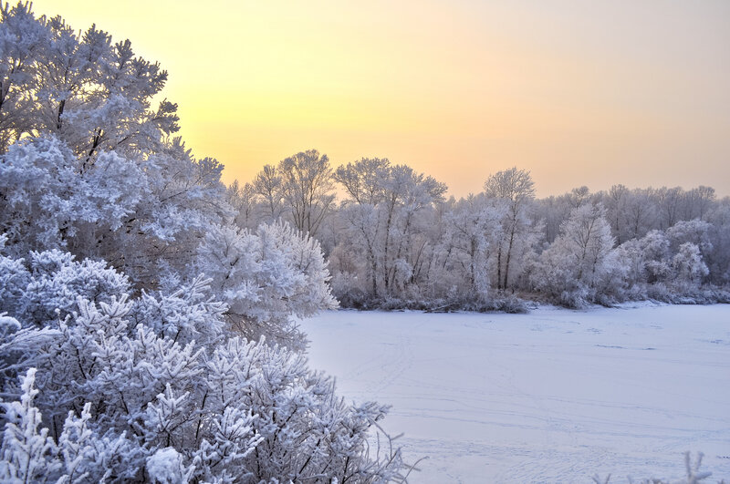 Frost-covered Trees — White, Serene, Winter, Photograph, River, Sky