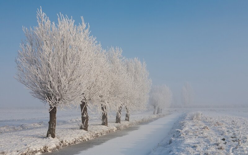 Frost-covered Trees — White, Serene, Winter, Photograph, Road