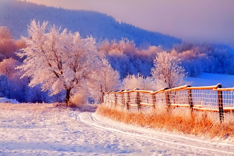 Frost-covered Trees — White, Serene, Winter, Photograph, Snow, Fence, Mountain