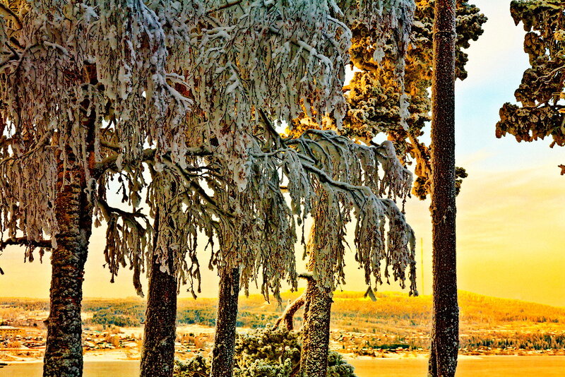 Frost-covered Trees — White, Serene, Winter, Photograph, Snow, Sky, Hills