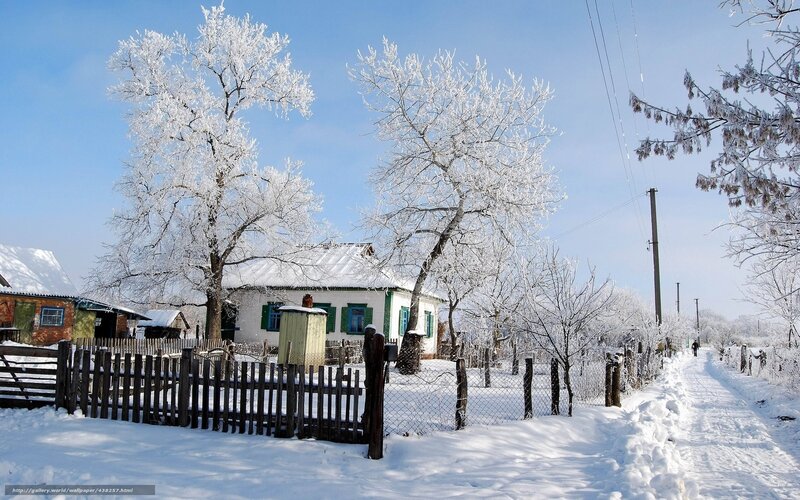 Frost-covered Village — White, Serene, Winter, Photograph