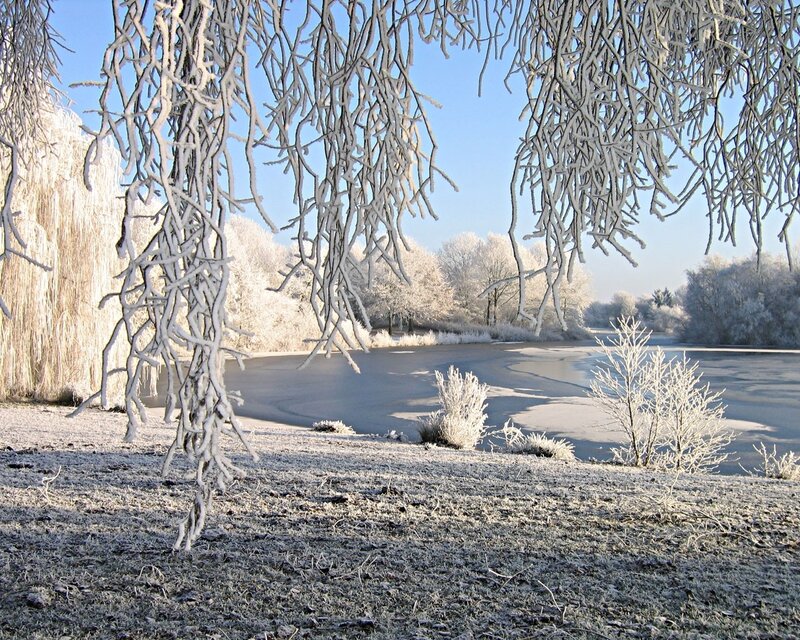 Frost-covered winter landscape