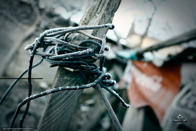 frost-covered wires on a post