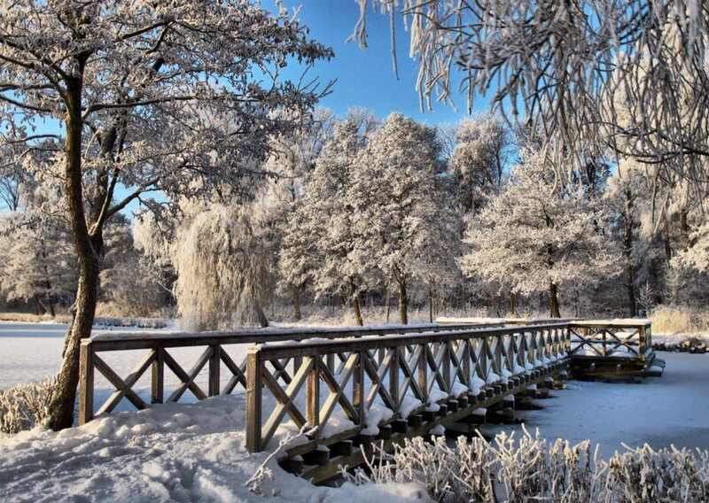 Frost-covered Wooden Bridge