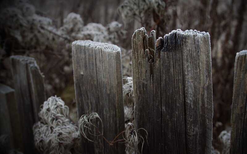 Frost-covered wooden posts