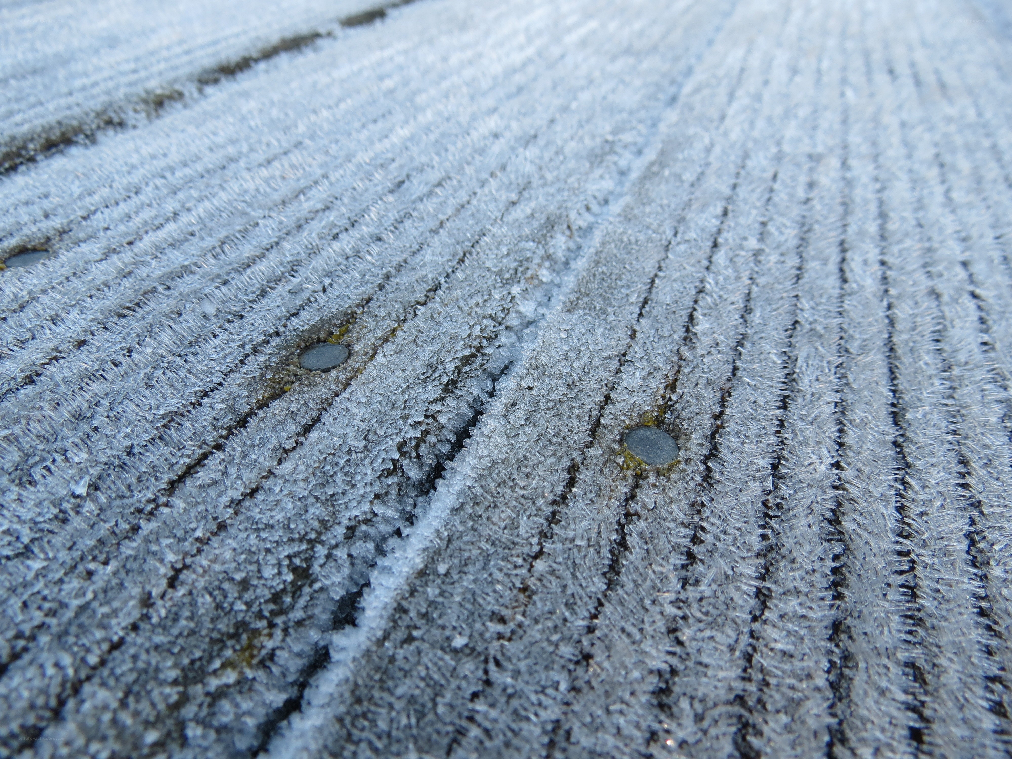 frost-covered wooden surface