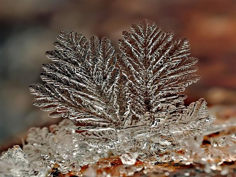 Frost Crystal Formation — Silver