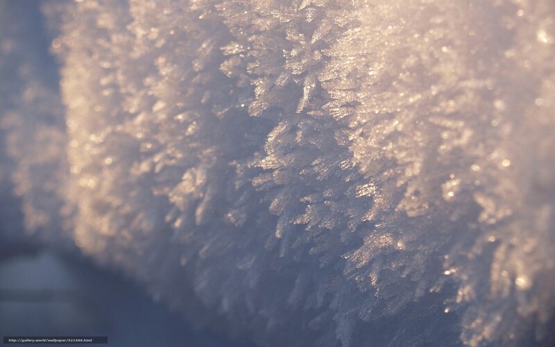 frost crystal formation