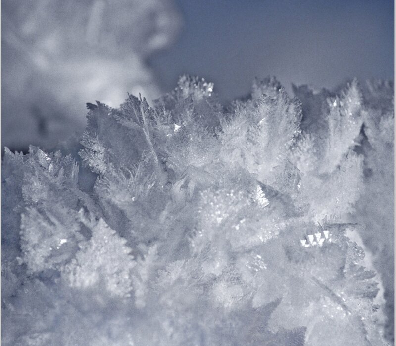 frost crystal formations