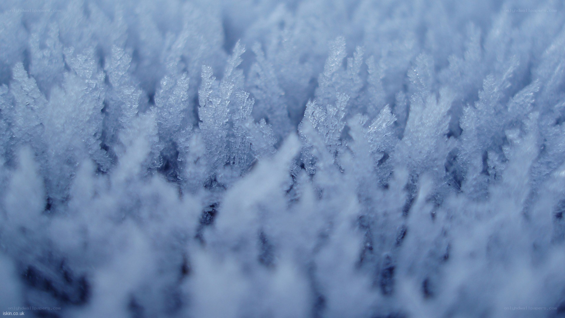 frost crystal formations