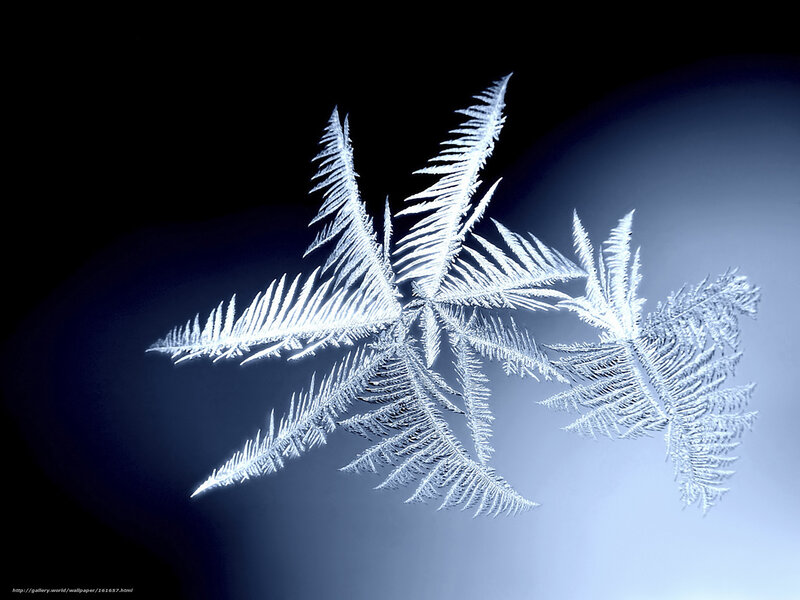 frost crystal pattern