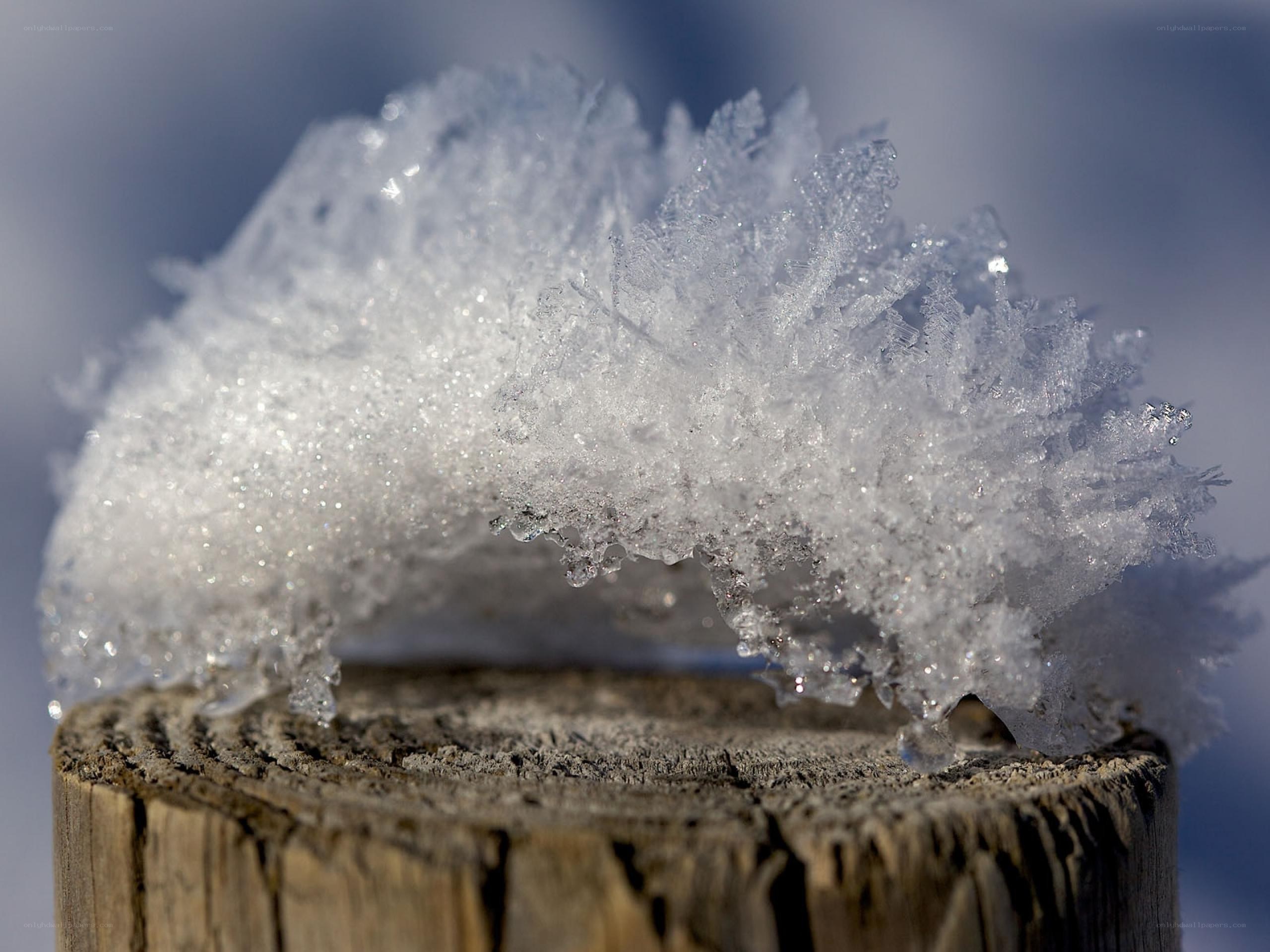 frost crystals on a wooden post