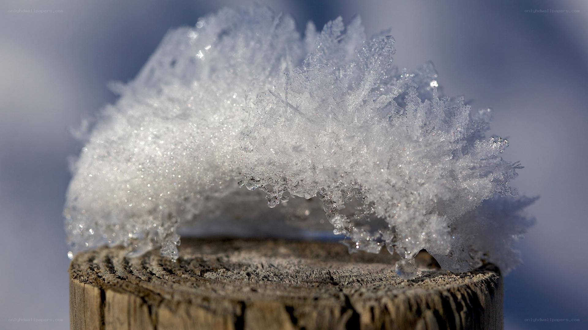 frost crystals on a wooden post