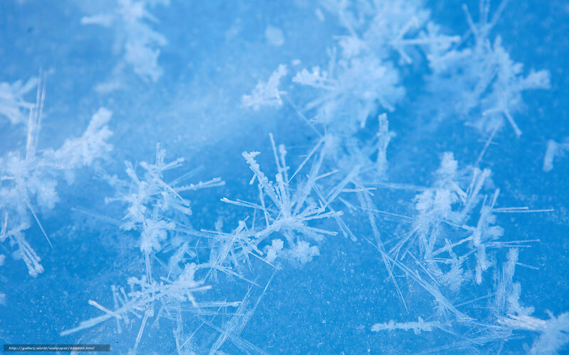 Frost Crystals on Blue Surface