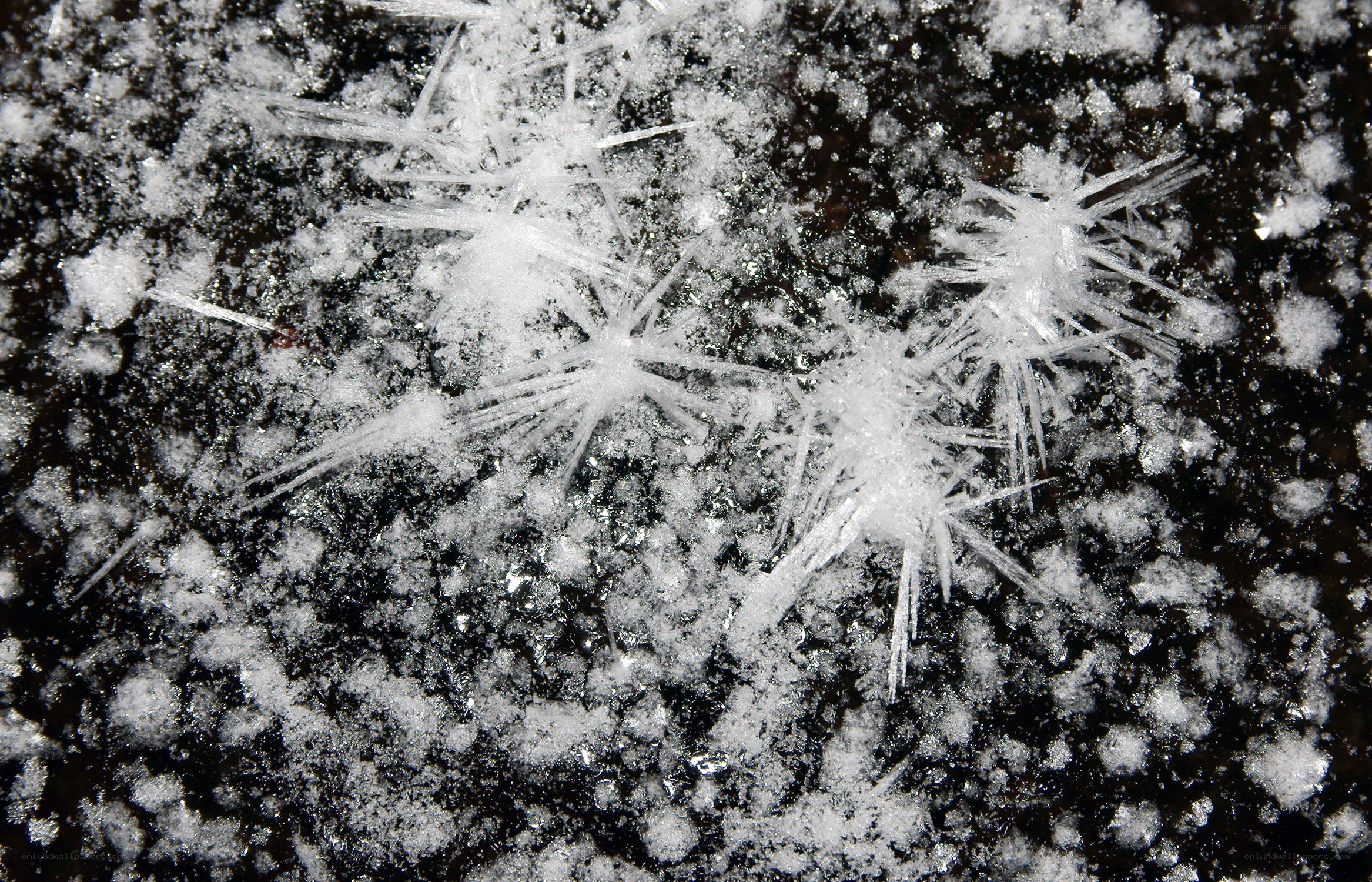 frost crystals on dark surface