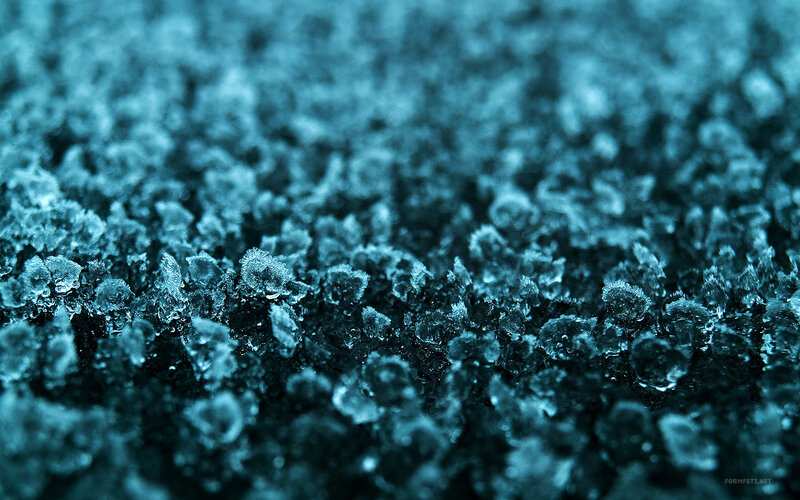 frost crystals on dark surface