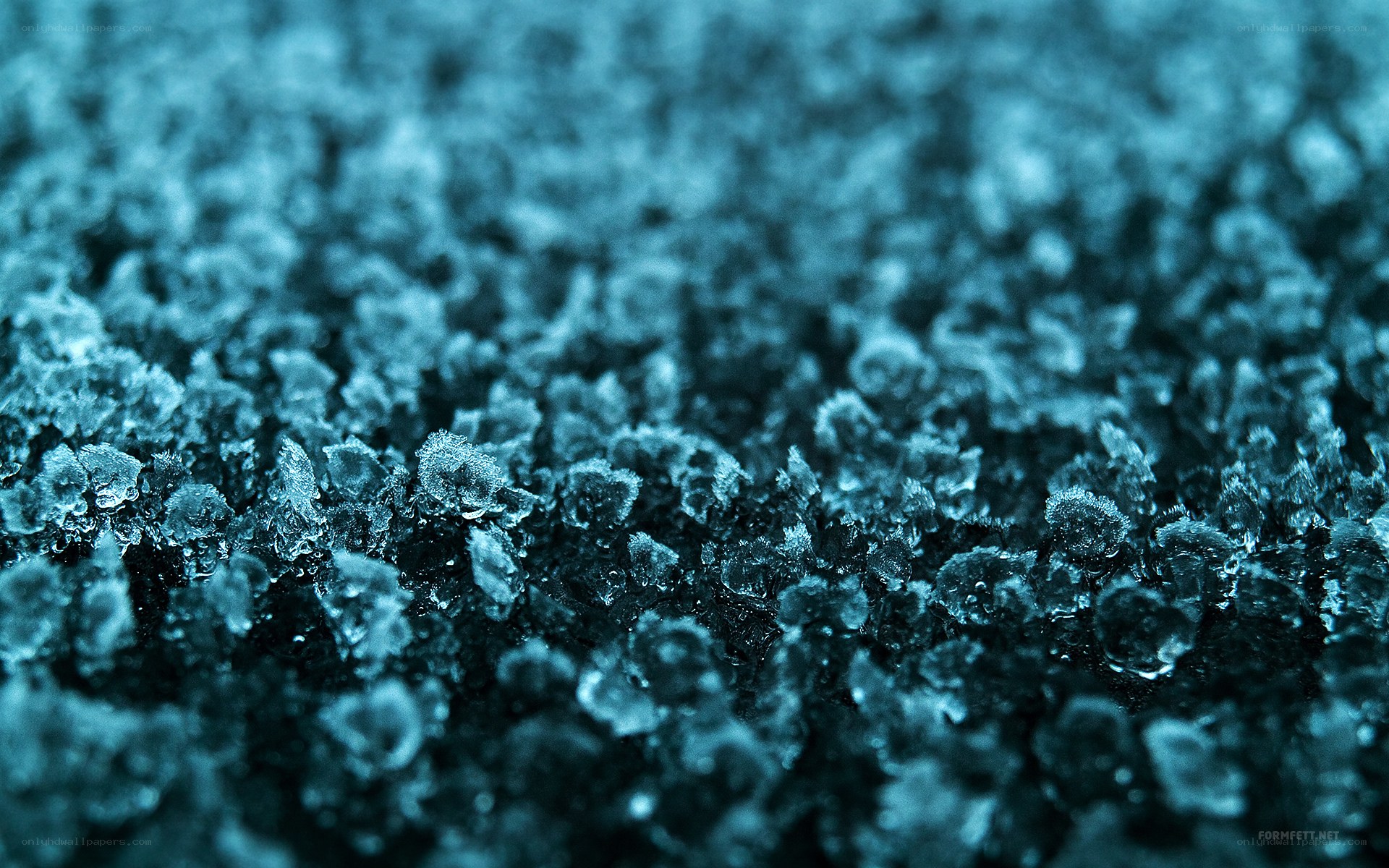 frost crystals on dark surface