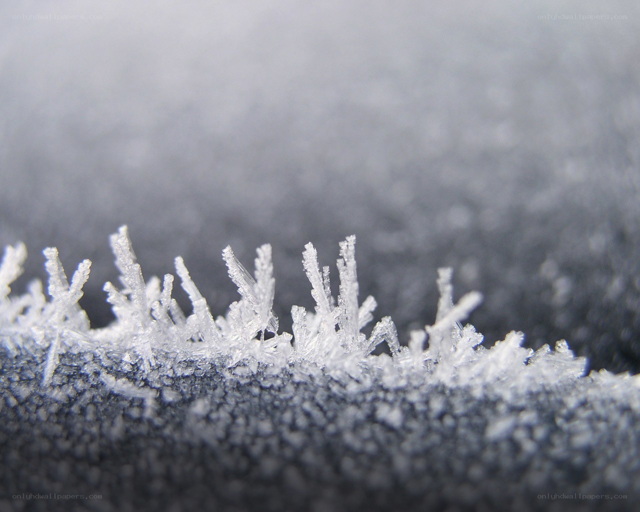 frost crystals on fabric