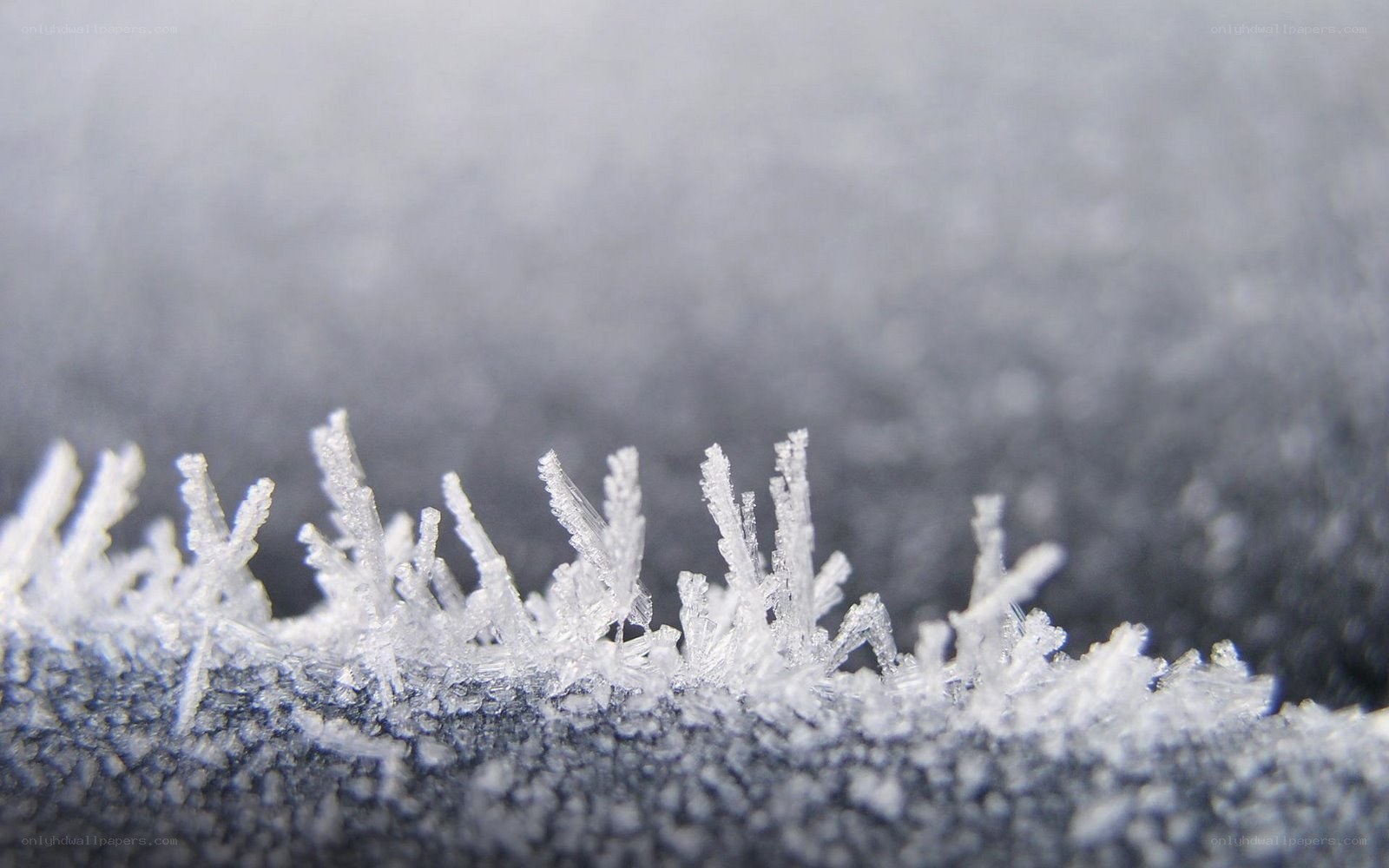 frost crystals on fabric