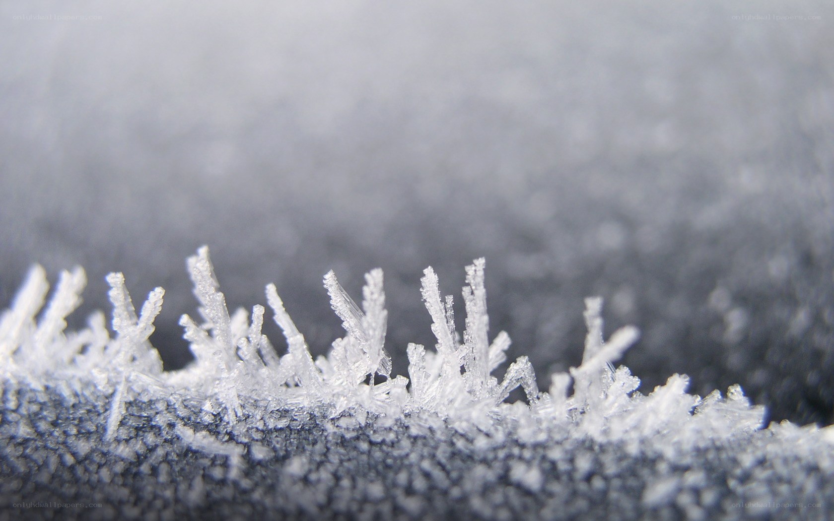 frost crystals on fabric