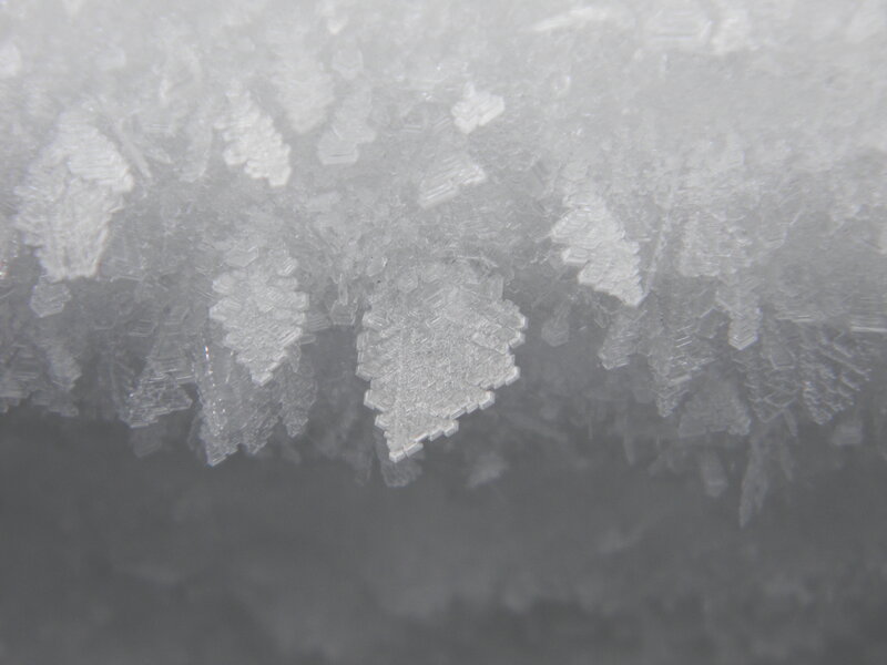 Frost Crystals on Glass
