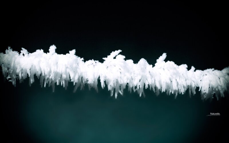 Frost Crystals on Glass — White