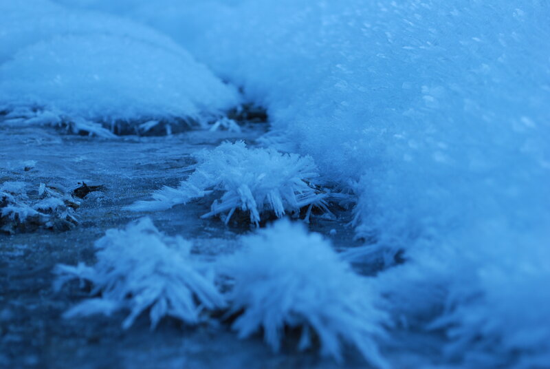 Frost Crystals on Ground