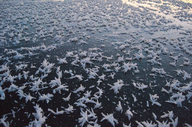 Frost Crystals on Ice