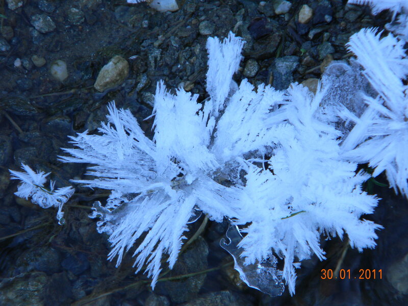 Frost Crystals on Rocks