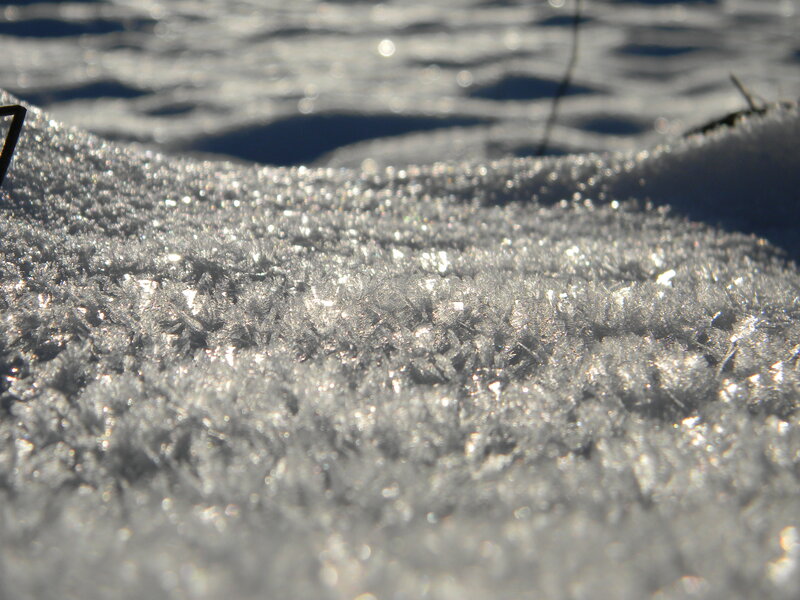 Frost Crystals on Snow — White, Calm, Winter, Photograph