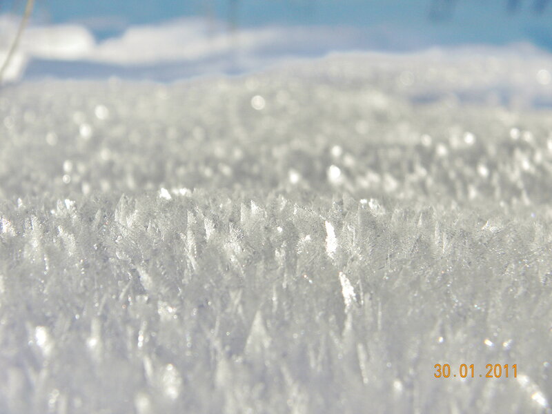 Frost Crystals on Snow — White