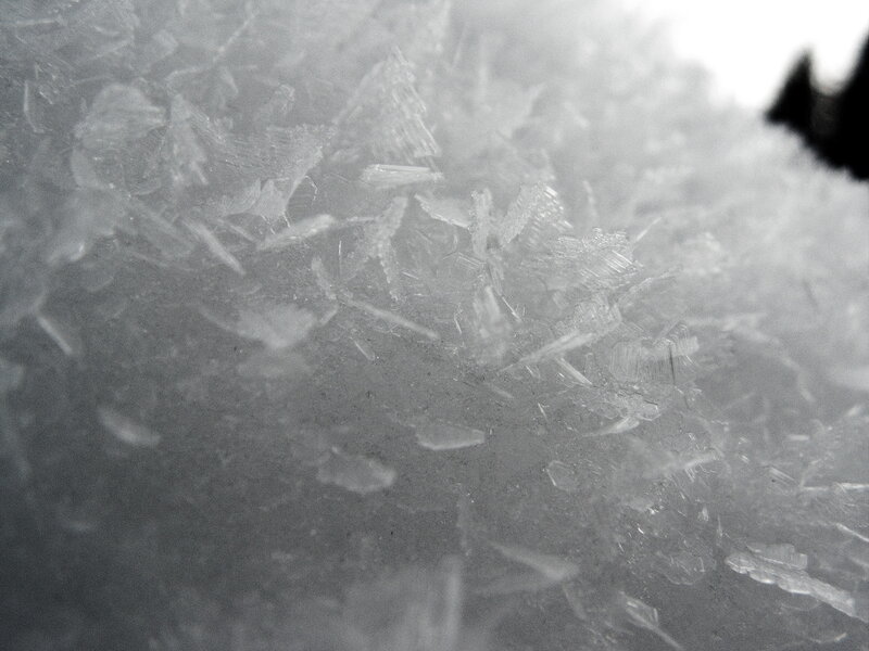 Frost Crystals on Surface