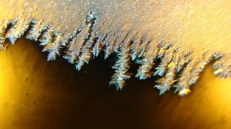 Frost Crystals on Wood — Brown