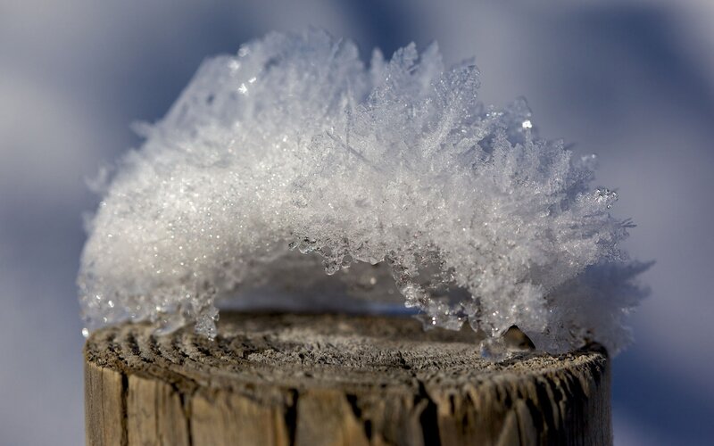 Frost Crystals on Wood — White
