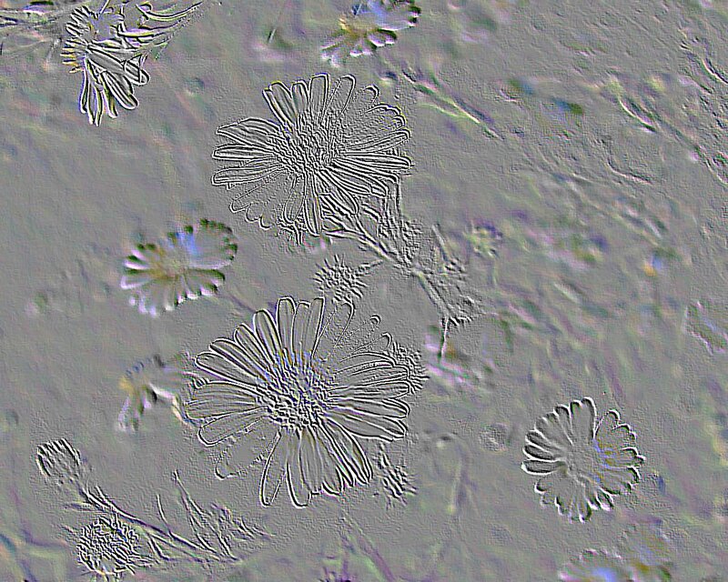 Frost Flower Patterns